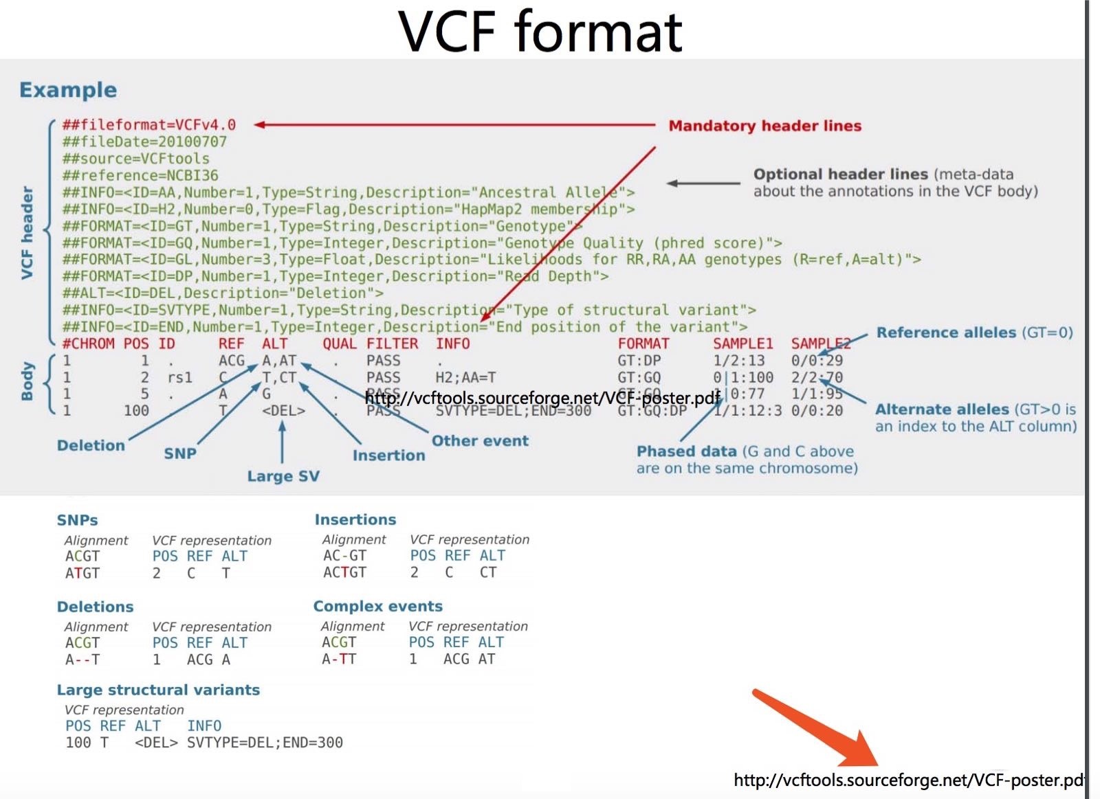 VCF文件的官方描述